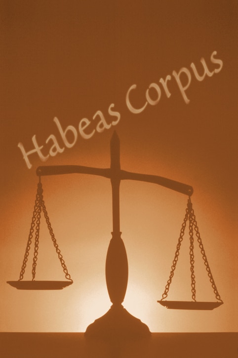 Do You Have the Right to Petition for Habeas Corpus? 