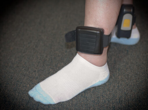 Is House Arrest a Reasonable Alternative to Incarceration for the Charges You Are Facing?