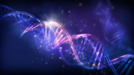 Could DNA Exonerate You or a Loved One? Let a Criminal Defense Attorney Help 