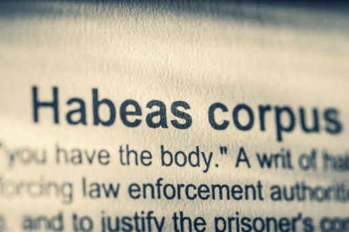 Ask a Federal Criminal Defense Attorney: How Likely Am I to Win My Federal Writ of Habeas Corpus?